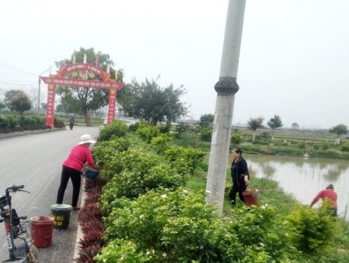 5.Cán bộ và nhân dân thôn Phú Thượng 1 hưởng ứng tết trồng cây năm 2024.jpg