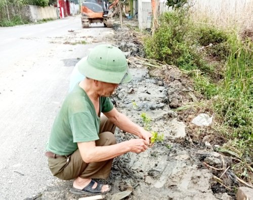 4. Hội viên NCT tham gia trồng đường hoa, cây xanh các tuyến đường trong xã.jpg